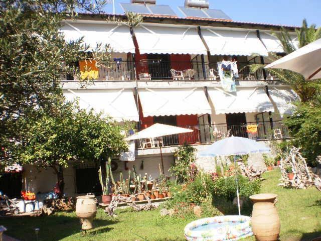 Studios Rosa Agia Paraskevi (Kassandra) Exterior foto