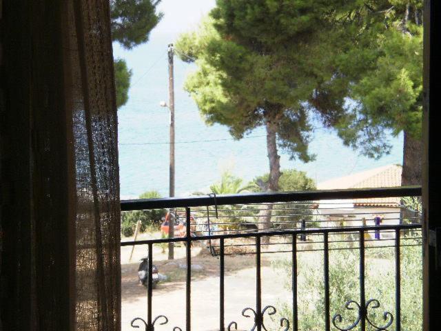 Studios Rosa Agia Paraskevi (Kassandra) Exterior foto